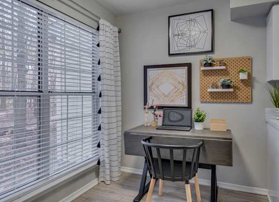 A black chair sits in front of a desk with a laptop and a plant on it.