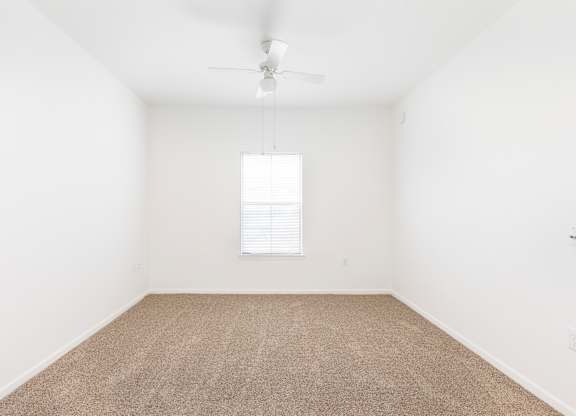 A room with a carpeted floor and a ceiling fan.