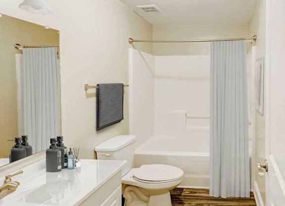 Custom Look Bathroom at Brandemere Apartment Homes, Winston Salem, North Carolina