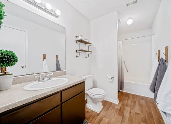 Modern Bathroom at Brandemere Apartment Homes, Winston Salem, NC