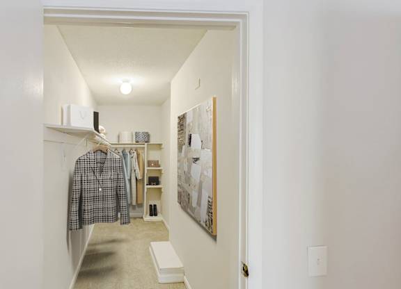 Large Closet at Brandemere Apartment Homes, Winston Salem, North Carolina