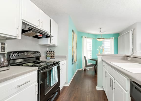 Black Kitchen Appliances at Bridges at Mallard Creek Apartment Homes, Charlotte, North Carolina
