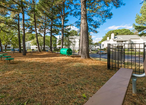 Picnic Table at Bridges at Mallard Creek Apartment Homes, North Carolina, 28269
