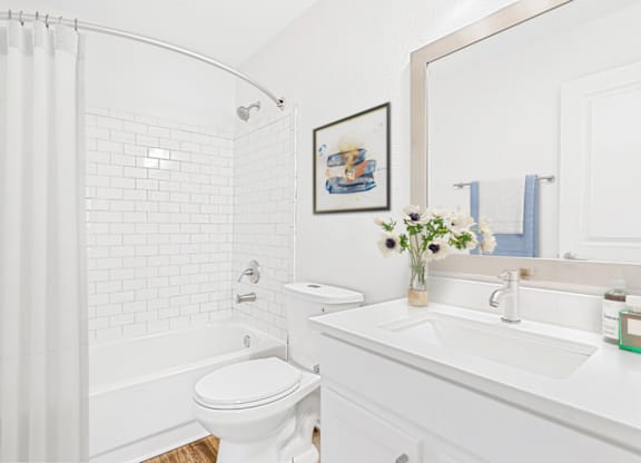 Bathroom With Bathtub at Bridges at Mallard Creek Apartment Homes, North Carolina, 28269