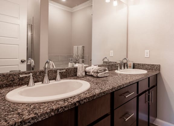 Bathroom sink facing large mirror and brushed nickel hardware