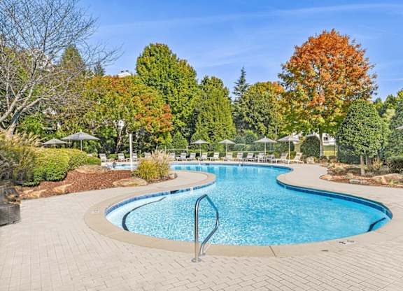 A swimming pool surrounded by a brick patio and trees.