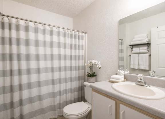 A bathroom with a toilet, sink, and shower curtain.