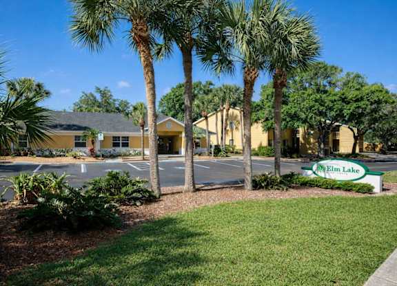 A sunny day at Elm Lake with palm trees and buildings.