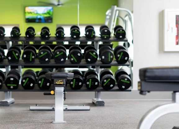 A gym with a row of black dumbbells on racks at Foxwood Apartments, Raleigh-Durham, 27616