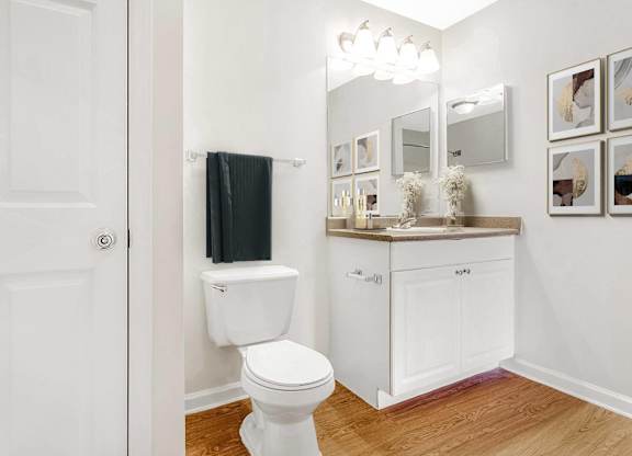 A white toilet is in a bathroom with a white cabinet and a mirror. at The Grayson Apartment Homes, Charlotte, 28262