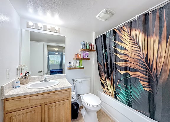 A bathroom with a sink, toilet, and a shower curtain.