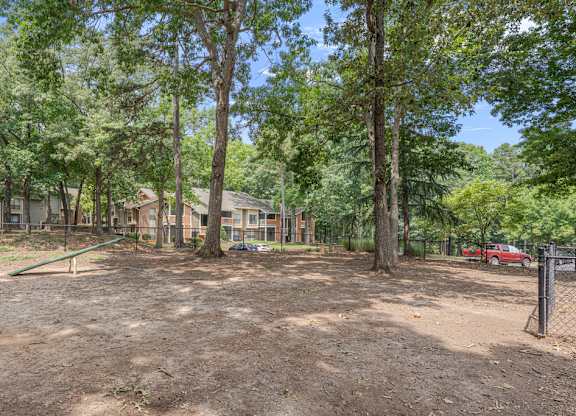 A dirt area with trees and a fence in the background.