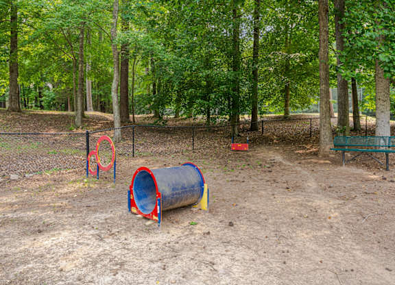 dog park with agility equipment