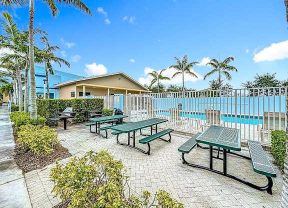 A sunny day at the poolside with picnic tables and palm trees.