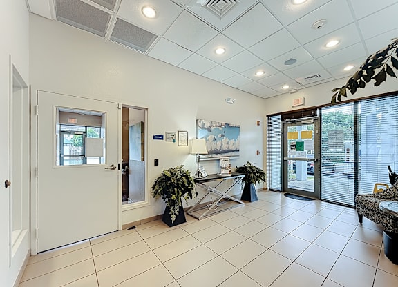 A white interior with a door and a plant.