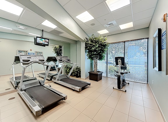 A gym with treadmills, exercise bikes, and a television.