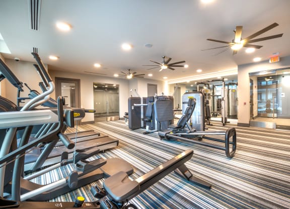 Fitness center area facing varying kinds of work out equipment.