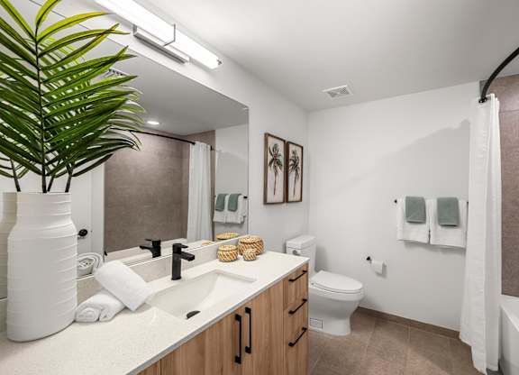 a bathroom with a sink and a toilet and a mirror