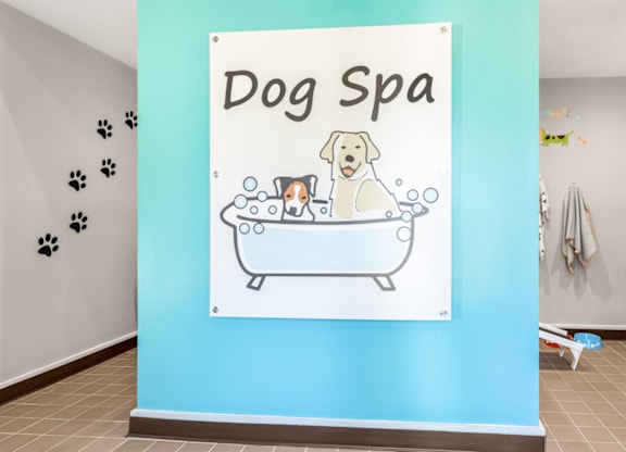 A sign that says Dog Spa with a drawing of a dog in a bathtub at Paces Pointe Apartment Homes, North Carolina, 28105