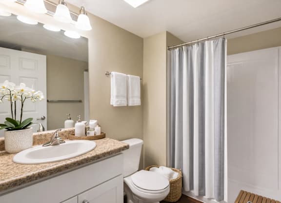 A bathroom with a toilet, sink, and shower curtain.