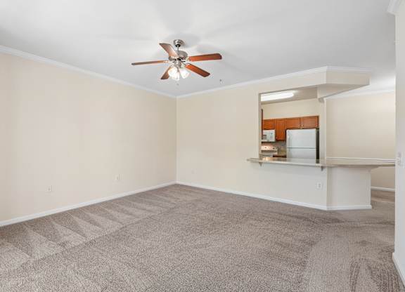A room with a ceiling fan and carpeted floor.