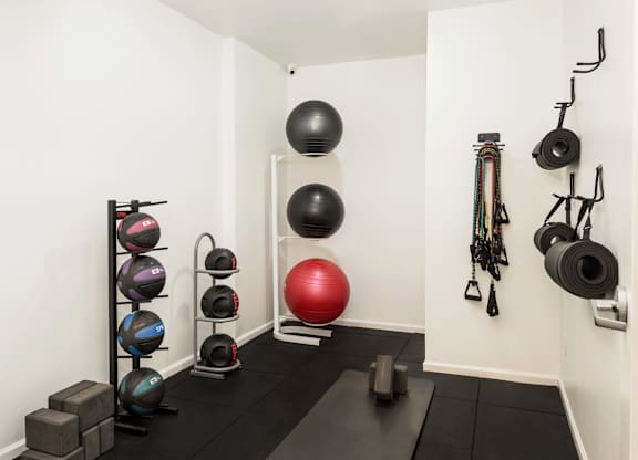 A gym with a red ball, a black ball, and a rack of kettlebells.