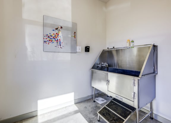 dog wash station with a painting of a dog on the wall