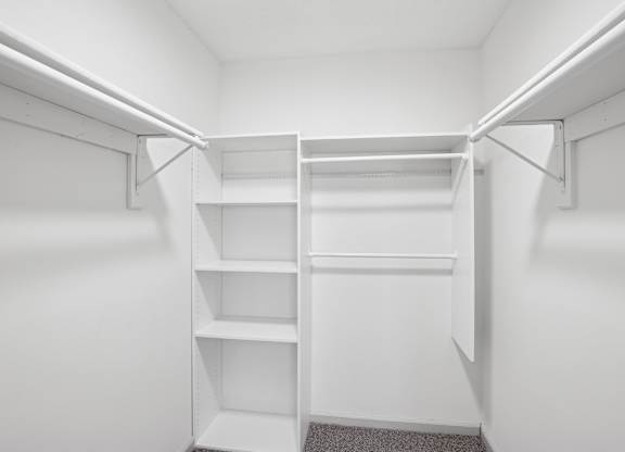 A white closet with shelves and a grey carpet.