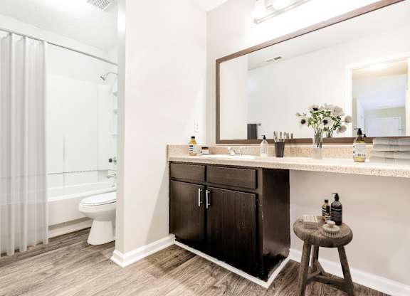 Bathroom With Bathtub at Woodlyn on the Green Apartment Homes, North Carolina