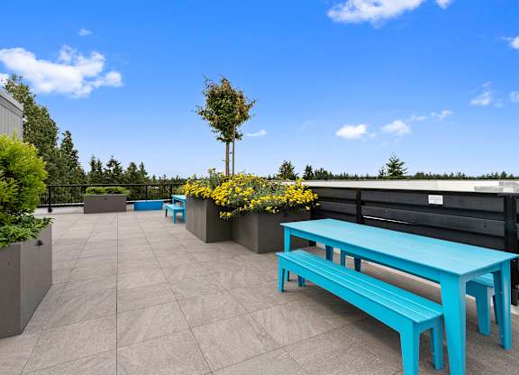 an outdoor seating area on the rooftop lounge with a blue bench and planters with yellow flowers at Arabella Apartment Homes, Washington