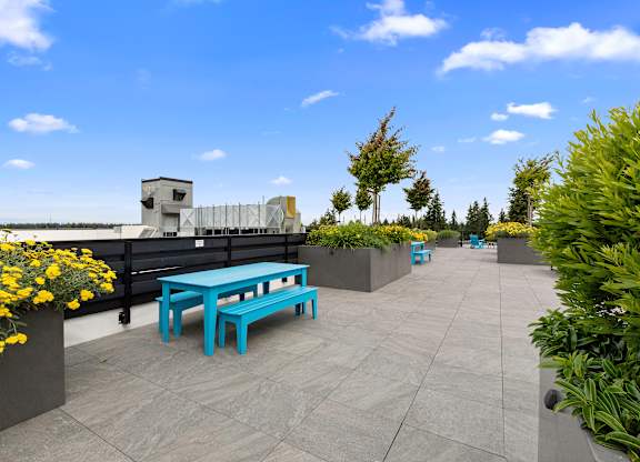 Landscaped Resident seating area with a blue bench and yellow flowers at Arabella Apartment Homes, Shoreline, 98155