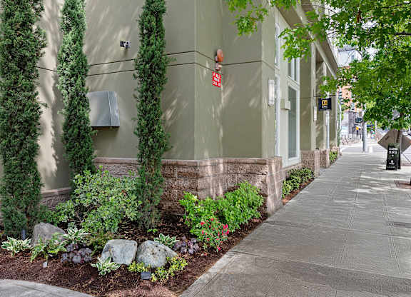 Sidewalk View of Stunning Landscaping  with tall Columns of Greenery and Delicate Flowers at Excalibur Apartment Homes, WA 98004