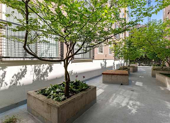Resident Courtyard with Trees and Seating at Sir Gallahad Apartment Homes, Bellevue