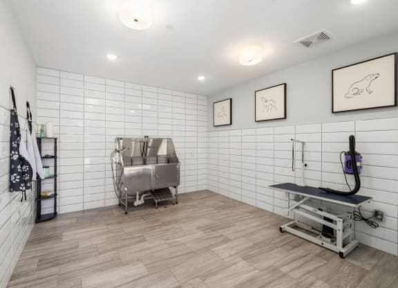 Pet spa with washing station at Griffin Weston pet-friendly apartments in Cary, NC.