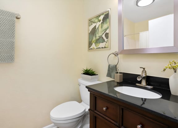 a bathroom with a toilet and a sink and a mirror at West Pointe Apartments in Burlington, NC