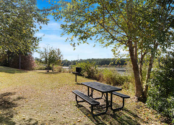 A picnic table is in the middle of a grassy area with trees and bushes around it. at Village on the Lake Apartments, Spring Lake, North Carolina