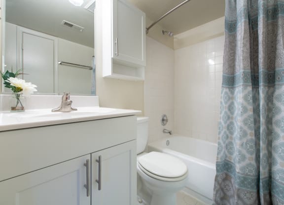 Bright Bathroom  at Tuscarora Creek  in Leesburg, 20175