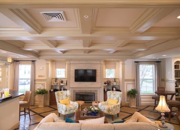 Clubroom With TV And Fireplace at Northlake Park, Florida