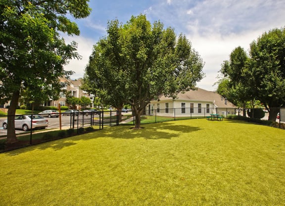 Dog Park Scene at Saratoga Square, Springfield, 22153