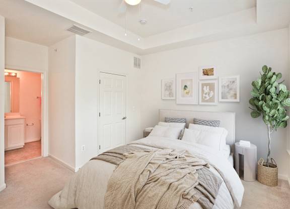 A bedroom with a large bed and a plant on the side table. at Barrington Park Apartments, Manassas