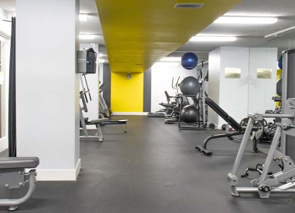 A gym with a variety of equipment including weights and a bench.
