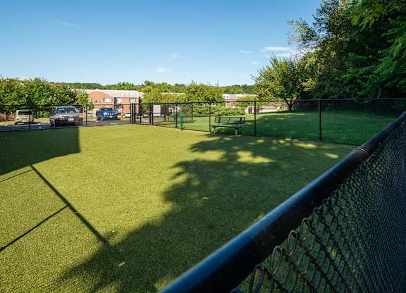 Grassy area at Tuscarora Creek, Virginia