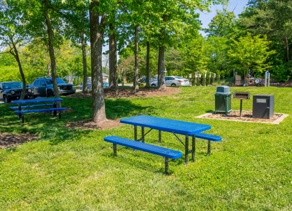 Picnic Spot at West Pointe Apartments, Burlington, North Carolina
