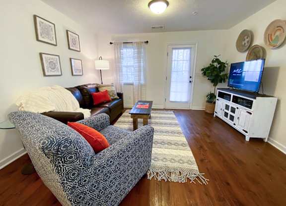 Living Room With TV at Helena Springs, Augusta Georgia