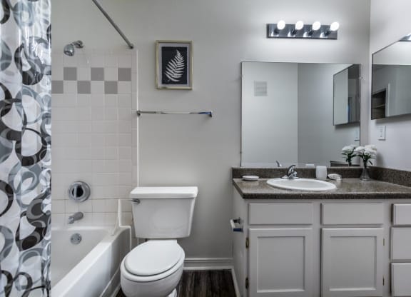 a bathroom with a sink toilet and shower and a mirror at The Trails at Mt. Moriah, Memphis, 38115