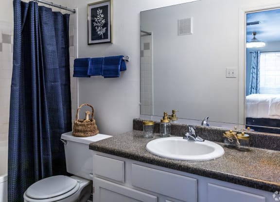 a bathroom with a sink and a mirror and a toilet at The Trails at Mt. Moriah, Memphis, 38115