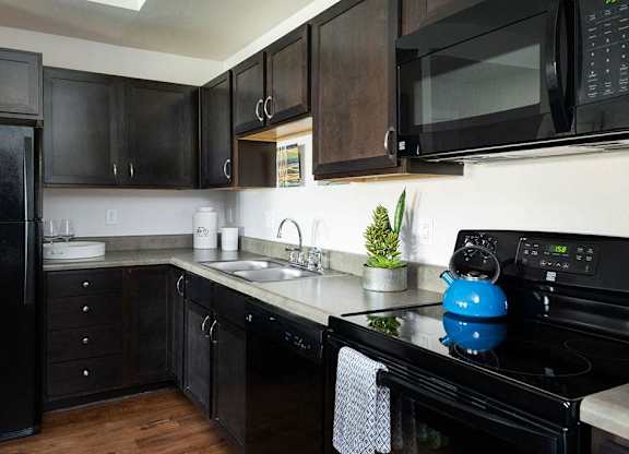 A black and white kitchen with a black fridge and black cabinets.