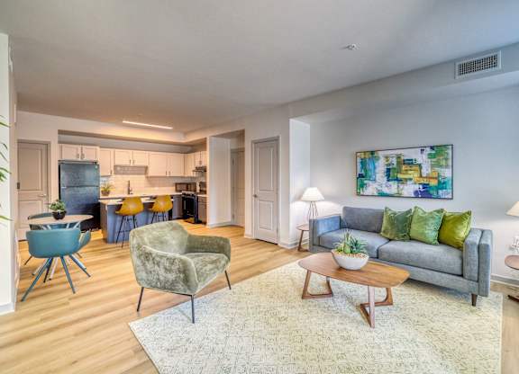 A living room with a grey couch and a rug.