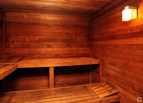 A wooden sauna with benches and lights.