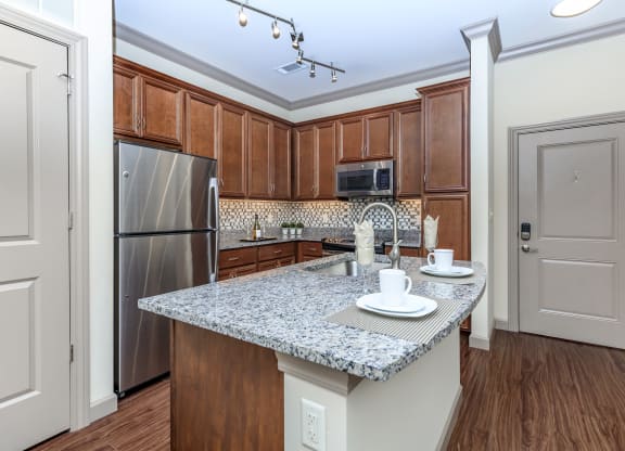 The_Orion_Interior_9_St_Louis_MO